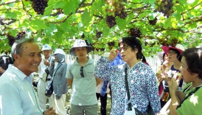 Le Festival international de la Vigne et du Vin de Ninh Thuân