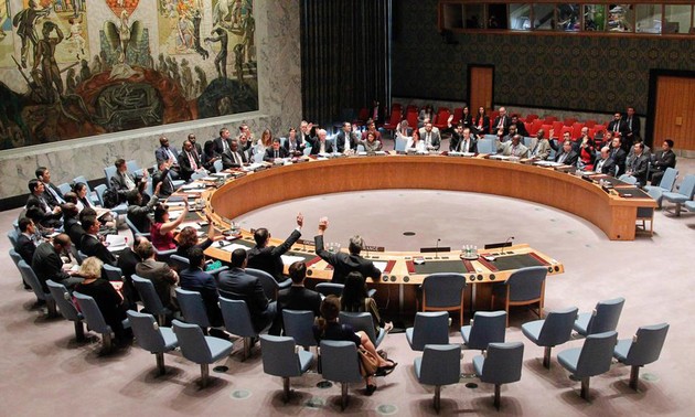 Le Conseil de sécurité de l'ONU proroge d'un an le mandat de la MANUI en Irak et en Chypre