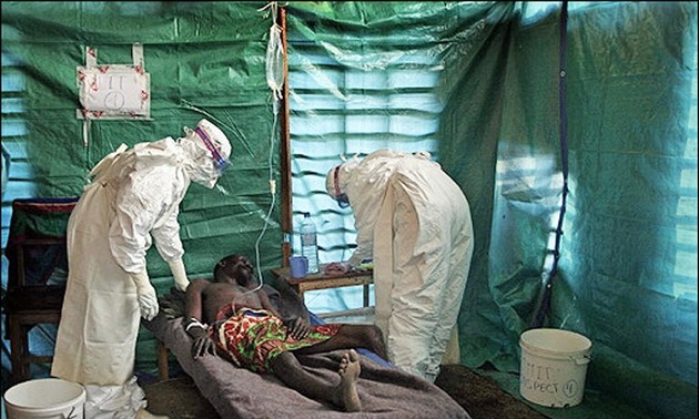 Ebola: plus de 900 morts, premier transfert d’un malade en Europe