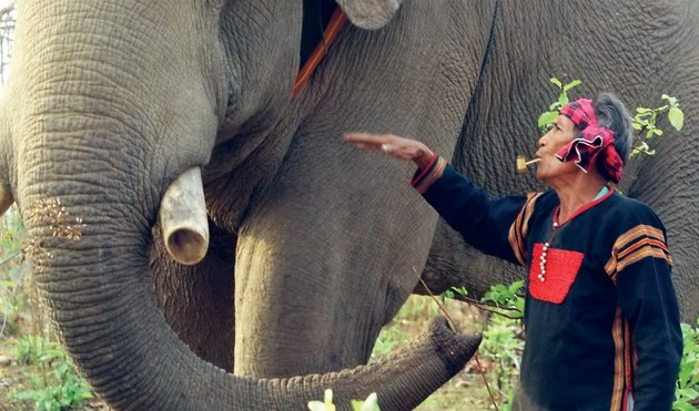Les instruments de chasse à l’éléphant d’Ama Kông immortalisés