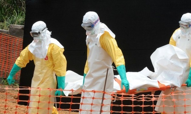 Ebola : l’OMS décrète une « urgence de santé publique de portée mondiale »