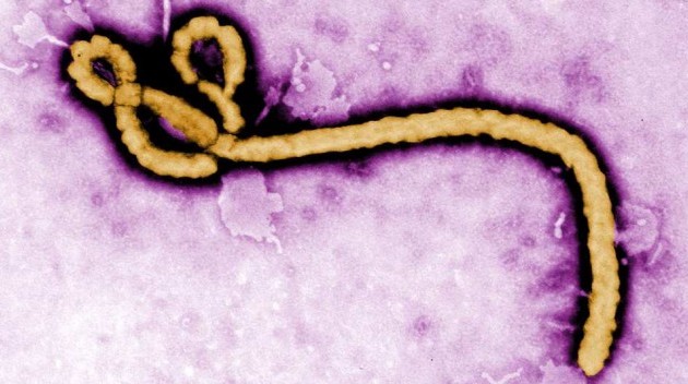 Ebola : L’OMS veut filtrer les voyageurs