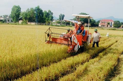 Bac Ninh mise sur la mécanisation de la production agricole