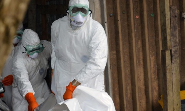 Le virus Ebola a fait plus de 2 400 morts