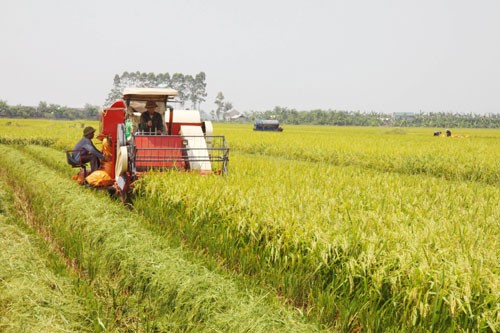 La République de Corée partage son savoir-faire agricole avec le Vietnam