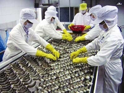 Taxe antidumping contre les crevettes vietnamiennes : réaction du Vietnam