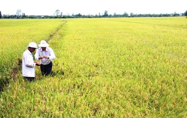 La journée mondiale de l’Alimentation au Vietnam