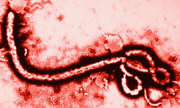 L'épidémie Ebola éradiquée au Nigeria