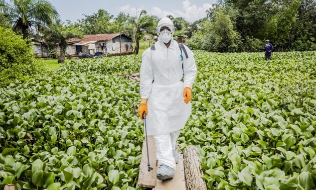 L'épidémie d'Ebola ralentit au Liberia, selon l'OMS
