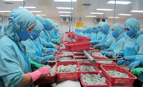 L’OMC publie son jugement sur le procès vietnamo-américain sur les crevettes 