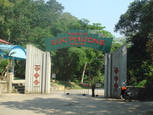 Le parc national de Cuc Phuong