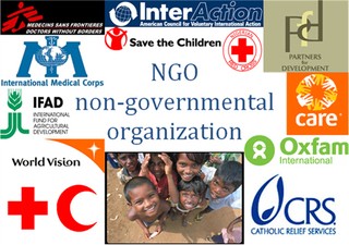 Bilan des activités des ONGs étrangères de 2014 