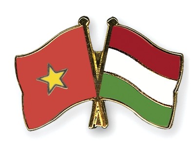 Célébration du 65ème anniversaire des relations diplomatiques Vietnam-Hongrie
