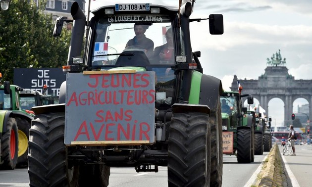 Crise agricole: Bruxelles débloque 500 millions d’euros d’aide