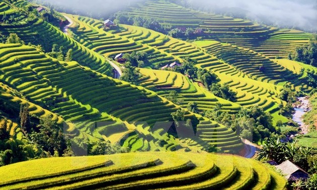 Coup d’envoi de la semaine culturelle et touristique des rizières en terrasse de Hoàng Su Phi 