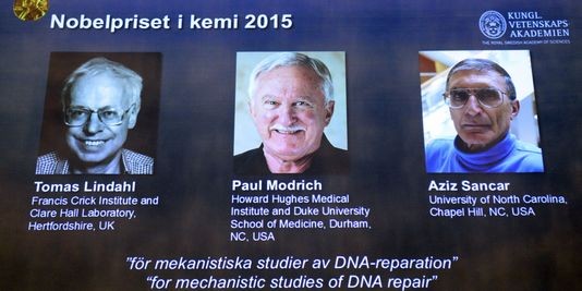 Le prix Nobel de chimie récompense des travaux sur la réparation de l’ADN