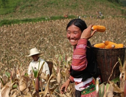 Pauvreté : le Vietnam opère un changement de politique radical