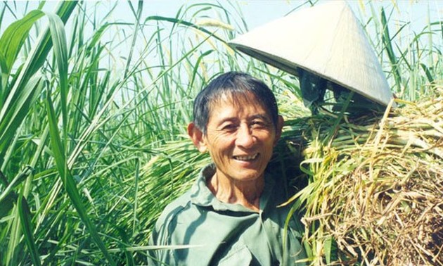 Hồ Giáo, un agriculteur remarquable 