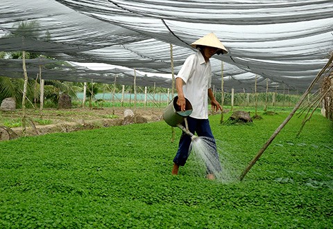 Le fonds d’assistance aux agriculteurs de Ho Chi Minh-ville en action
