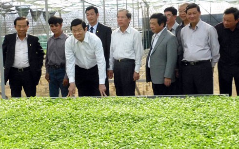 Truong Tan Sang apprécie des modèles agricoles à Lam Dong