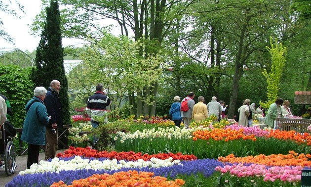 Le parc municipal de Dalat, le rendez-vous de mille fleurs