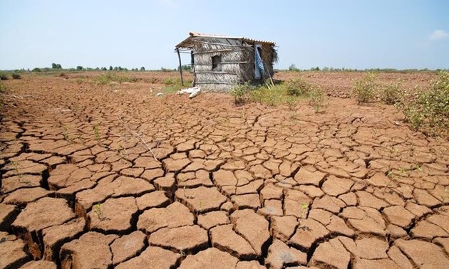 Le Vietnam s’attèle à lutter contre la sécheresse