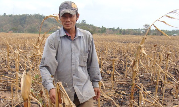 Plusieurs ONG aident le Vietnam à lutter contre la sécheresse et la salinisation
