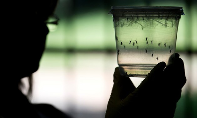Etats-Unis : adoption d’un projet de loi favorisant les recherches sur Zika