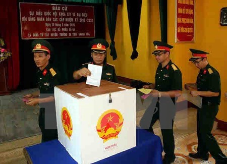 Elections législatives anticipées dans diverses provinces et villes vietnamiennes