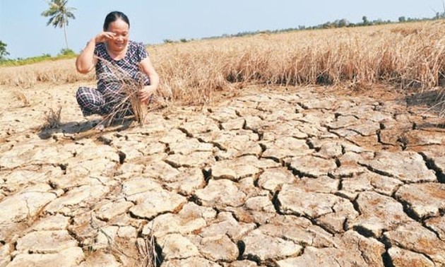 Le Japon accorde 2,5 millions de dollars aux victimes de la sécheresse
