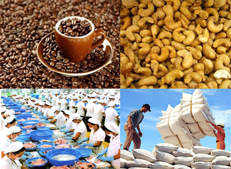 Les exportations agricoles, sylvicoles et aquacoles atteignent 15 milliards d’USD en 6 mois