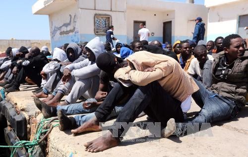 Un millier de migrants secourus en Méditerranée