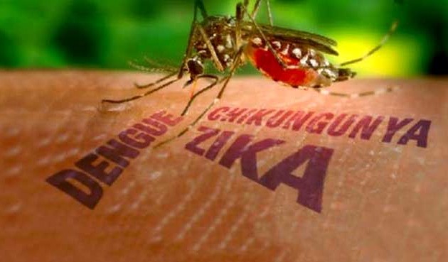 Singapour confirme 38 nouveaux cas de transmission locale du virus Zika