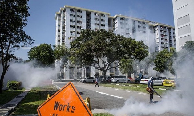 Singapour annonce 9 nouveaux cas d’infection au virus Zika