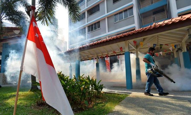 Zika : Singapour dénombre 12 nouveaux cas d'infection