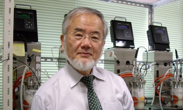 Le prix Nobel de médecine attribué au Japonais Yoshinori Ohsumi