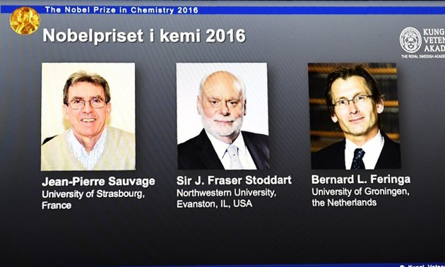 Le prix Nobel de chimie attribué à trois chercheurs
