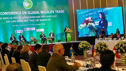 Le Vietnam lutte contre le trafic d’espèces sauvages