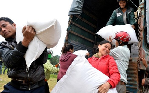 Le PM décide l’octroi de 2.000 tonnes de riz aux sinistrés de Binh Dinh