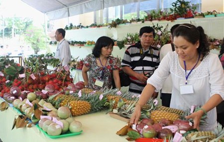 Créer une place digne des fruits du Vietnam sur le marché mondial