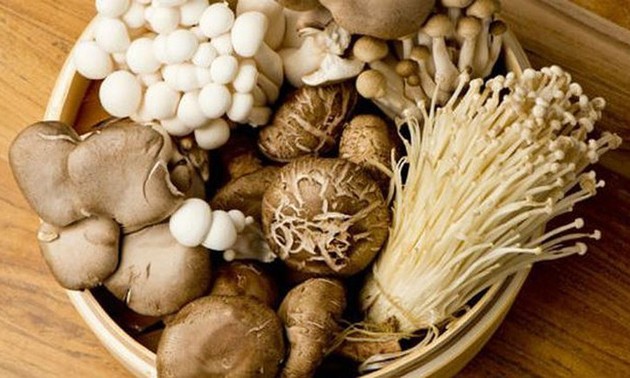 Les champignons dans la cuisine vietnamienne