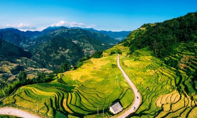 Best locations to catch the sight of ripened rice terraces