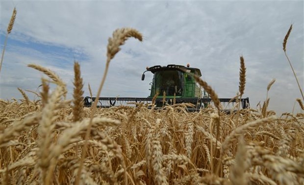 Turkey, Russia, Qatar cooperate in delivering grain to Africa