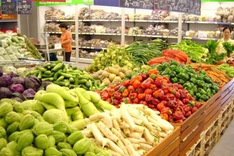 Pekan Raya Internasional ke-5 tentang agribisnis dan bahan makanan Vietnam 2017 dibuka
