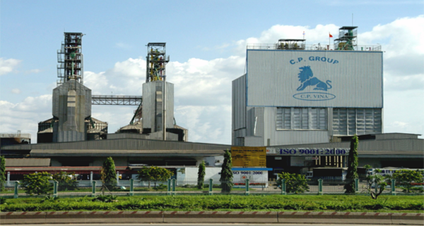 Perusahaan CPV-Pola produksi pertanian yang sukses di Vietnam