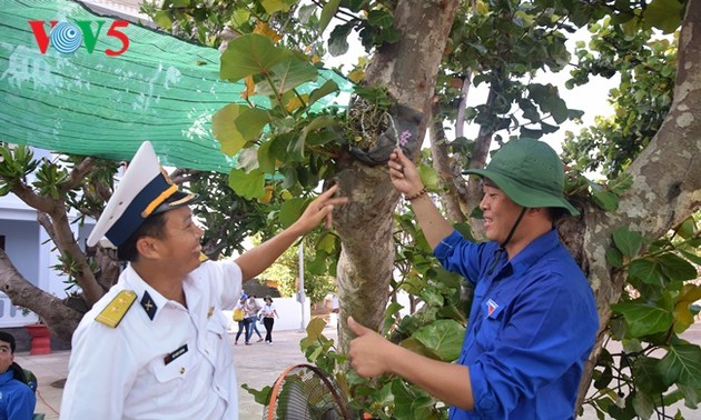 Phan Thanh Sang-Pemuda yang tipikal dalam melakukan pembibitan benih hijau untuk laut dan pulau kampung halaman