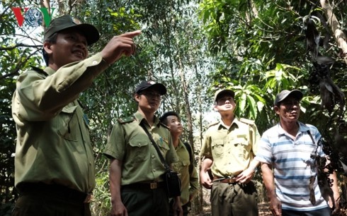 Para penjaga hutan pada musim kemarau di Provinsi Dong Nai