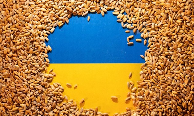 Uni Eropa Tidak Memperpanjang Larangan Impor Biji-bijian Ukraina