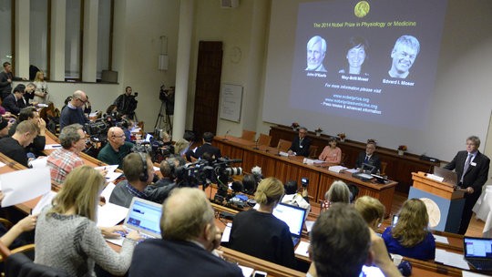 2014 Nobel Prize in Physiology and Medicine awarded to 3 Norwegian and American scientists