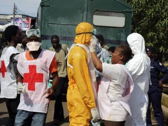 Fight against Ebola shows positive signals 